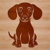 A small-sized Dachshund sitting on its haunches, depicted as a simple line art illustration.
