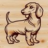 A simple line drawing of a standing dachshund breed of dog.