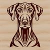 Vector illustration of a Doberman Pinscher dog's head with detailed features.