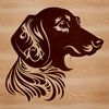A digital illustration of a Dachshund's head.