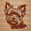 A detailed illustration of a small dog breed known as the Yorkshire Terrier.