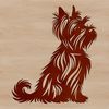 Cute Sitting Yorkshire Terrier Breed A small-sized Yorkshire Terrier breed of dog is depicted in a sitting posture.