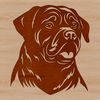 Dog Breed Icon A close-up of a Rottweiler's head, with its distinctive markings and facial features.