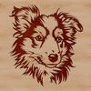Portrait illustration of a Shetland sheepdog dog's head, suitable for vector art and commercial use.