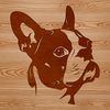 Free Vector Clip Art Animal Head Design Boston Terrier breed illustration with detailed head features.