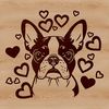 Friendly Boston Terrier Portrait with Love Hearts Close-up illustration of a friendly Boston Terrier's head with love hearts surrounding its features.
