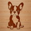 Illustrated vector image of a sitting Boston Terrier dog in a simple design.