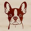 Cutting Edge Clip Art A detailed illustration of a Boston Terrier's head, created as a vector graphic.