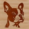 Boston Terrier Head Illustration A digital illustration of a Boston Terrier's head, suitable for vector design and commercial or personal use.