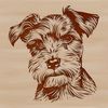 Small dog breed with a distinctive beard and mustache, suitable as vector art for design projects.
