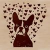 Playful Boston Terrier with Heart Symbols A playful Boston Terrier with loving heart symbols surrounding its head.