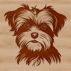 Cute Morkie Puppies Illustration A small dog breed, the Morkie, depicted in a detailed vector illustration.