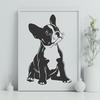 Boston Terrier dog breed illustration in a sitting position, created as a vector art design.