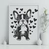 A cute Boston Terrier sitting in front of a white background with heart symbols surrounding it.
