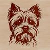 Yorkshire Terrier Portrait Illustration Small dog breed illustration of a Yorkshire Terrier's head.