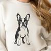 Standout Boston Terrier Clip Art A digital clip art design of a Boston Terrier in a standalone pose.