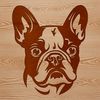 French Bulldog Portrait Vector A detailed vector illustration of a French Bulldog's head, suitable for various applications.