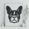 A detailed illustration of a French Bulldog's head with wrinkles and characteristic features.