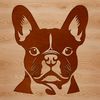 French Bull Dog Face Vector Illustration A cute French Bulldog's head with wrinkled skin and a flat face.