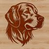 Free Vector Dog Head Graphic Design A vector illustration of a Golden Retriever's head, suitable for digital use in various formats.