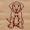 Vector Great Dane Illustration A simple line drawing of a large dog breed sitting on its haunches, depicted in a vector format.