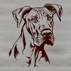 A vector illustration of a large dog breed, specifically the Great Dane, with its distinctive head shape and features.