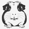 Vector Guinea Pig Graphic Design A high-quality illustration of a Guinea Pig in vector format.