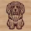 Havanese Breed Vector Art Design Illustration of a sitting Havanese dog breed in vector format.