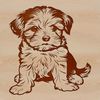 Vector Havanese Dog Illustration A small, white dog with long fur sits on a surface, illustrated in vector format.