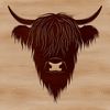 Distinctive Scottish Farm Animal Design Illustrated Highland cow head with distinctive features.
