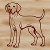 Labrador Dog Illustration A high-quality vector image of a Labrador Retriever standing in a realistic pose.