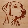 Friendly Lab Head Illustration A digital illustration of a friendly Labrador Retriever dog's head, suitable for vector graphics.