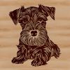 Mini Schnauzer Silhouette in a Restful Pose A small breed dog, the Miniature Schnauzer, in a relaxed position on its side.