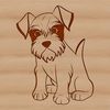 Miniature Marvel Sitting Pretty Small breed dog sitting on its haunches, with a compact body and bearded face.