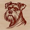 A portrait of a miniature breed dog with distinctive facial features and a wiry coat.