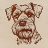 Portrait illustration of a miniature schnauzer dog.