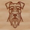 Small Dog Portrait A detailed illustration of a small dog's head, resembling a Miniature Schnauzer breed.