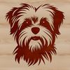 Cute Pup Breed Portrait A small dog breed mix with a cute face and floppy ears.