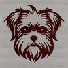 Cute Mixed Breed Dog Vector A small mixed-breed dog with a Morkie head shape, suitable for vector design.