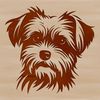 Cute Small Breed Dog Vector Art A small breed dog with a combination of Yorkie and Maltese features.