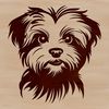 Cute Morkie Dog Portrait Illustration Morkie dog portrait, vector illustration.