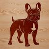 A standing French Bulldog breed of dog, suitable for vector graphics and digital art.