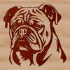 Lovely Bulldog Head Illustration A close-up illustration of a Bulldog's head, featuring a recognizable breed of dog with distinctive features.