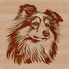 Vector Design of a Shetland Dog's Head A high-quality digital illustration of a Shetland sheepdog's head, featuring detailed vector lines.