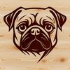 Vector Dog Portrait Close-up A close-up illustration of a pug's head and face, suitable for vector design projects.