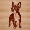 A standing Boston Terrier breed dog, suitable for vector design and clip art projects.