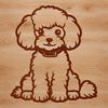 A sitting Poodle, free vector illustration for design projects.