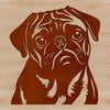 A detailed illustration of a pug's head with wrinkles and folds.