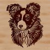 Small Dog with Distinctive Features A small to medium-sized dog breed with a distinctive head shape and thick coat, commonly kept as a pet.