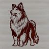 Cute Shetland Dog Portrait A portrait of a standing Shetland sheepdog with a calm expression.